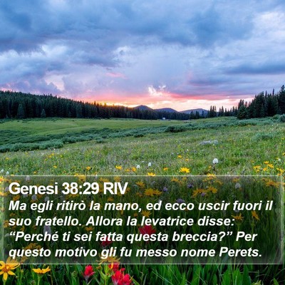 Genesi 38:29 RIV Bible Verse Image