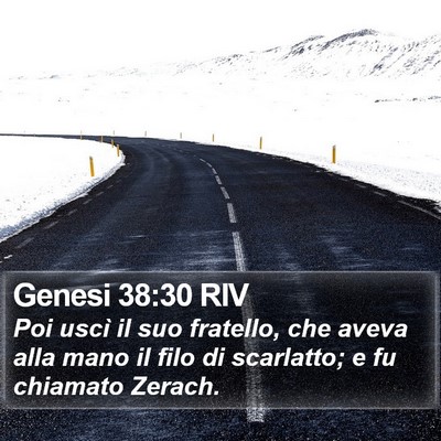 Genesi 38:30 RIV Bible Verse Image
