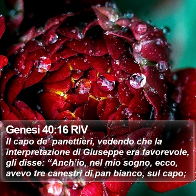 Genesi 40:16 RIV Bible Verse Image