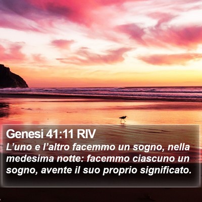 Genesi 41:11 RIV Bible Verse Image