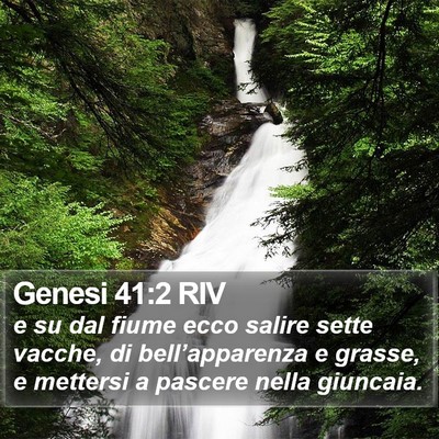 Genesi 41:2 RIV Bible Verse Image