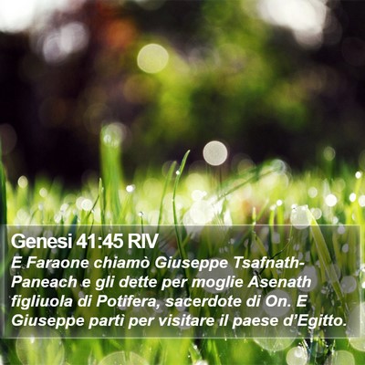 Genesi 41:45 RIV Bible Verse Image
