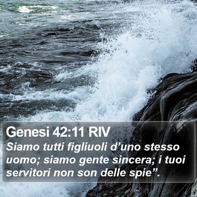 Genesi 42:11 RIV Bible Verse Image