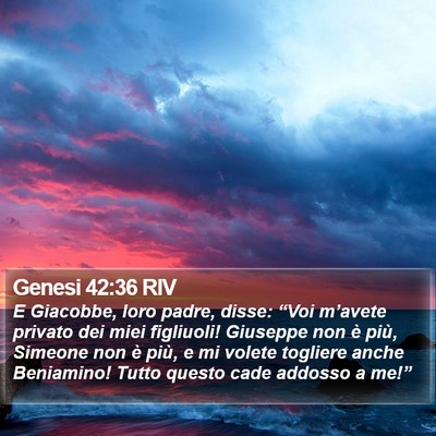 Genesi 42:36 RIV Bible Verse Image