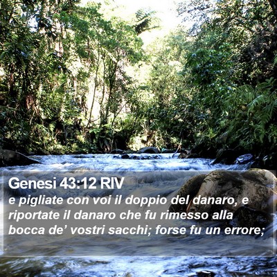 Genesi 43:12 RIV Bible Verse Image