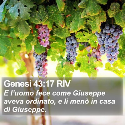 Genesi 43:17 RIV Bible Verse Image