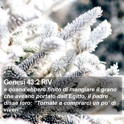 Genesi 43:2 RIV Bible Verse Image