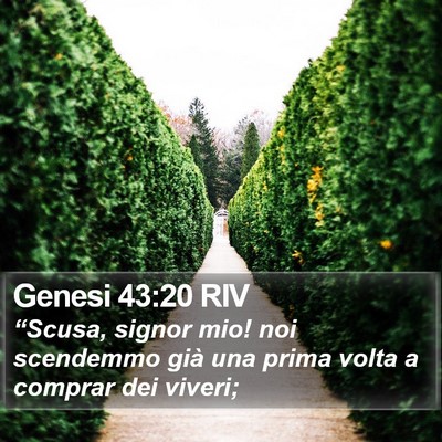 Genesi 43:20 RIV Bible Verse Image
