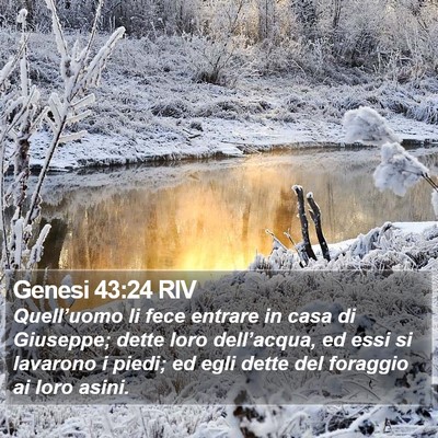 Genesi 43:24 RIV Bible Verse Image