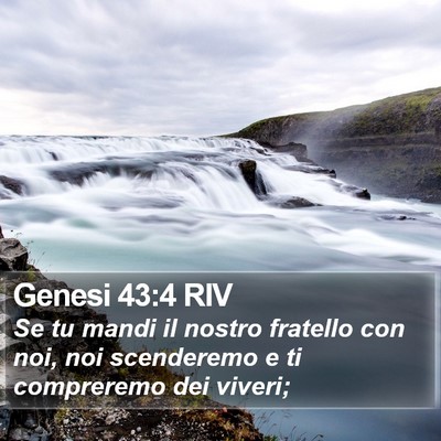 Genesi 43:4 RIV Bible Verse Image