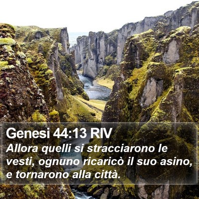 Genesi 44:13 RIV Bible Verse Image