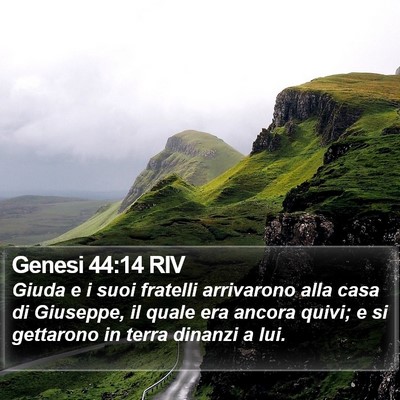 Genesi 44:14 RIV Bible Verse Image