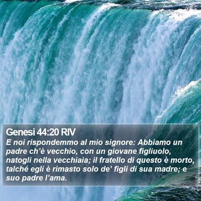Genesi 44:20 RIV Bible Verse Image