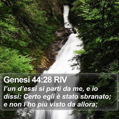 Genesi 44:28 RIV Bible Verse Image