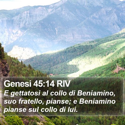 Genesi 45:14 RIV Bible Verse Image