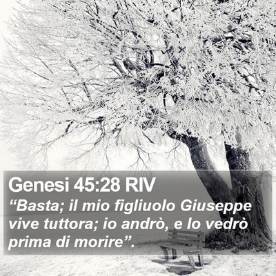 Genesi 45:28 RIV Bible Verse Image