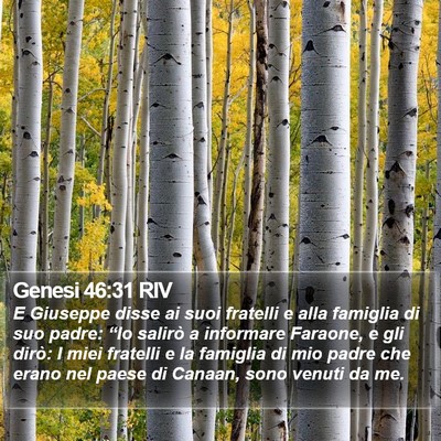 Genesi 46:31 RIV Bible Verse Image