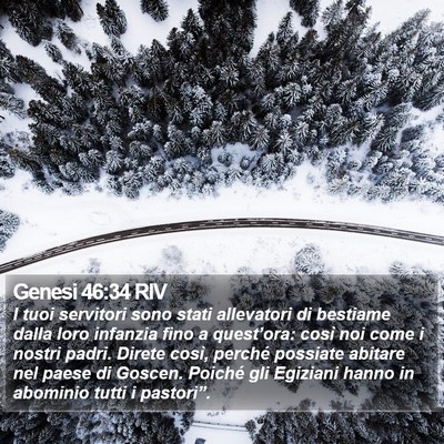 Genesi 46:34 RIV Bible Verse Image