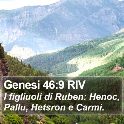 Genesi 46:9 RIV Bible Verse Image
