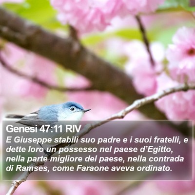 Genesi 47:11 RIV Bible Verse Image