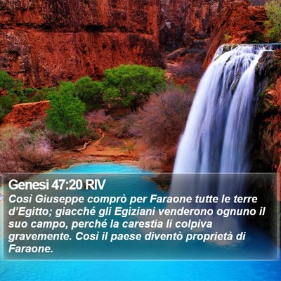 Genesi 47:20 RIV Bible Verse Image