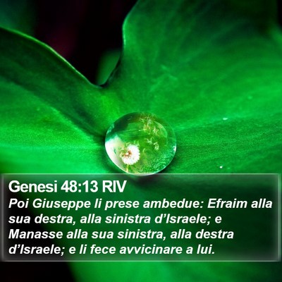 Genesi 48:13 RIV Bible Verse Image