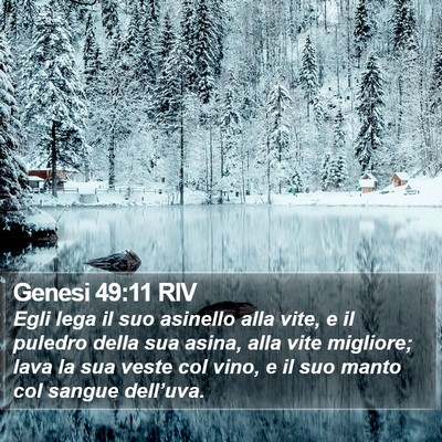 Genesi 49:11 RIV Bible Verse Image