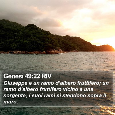 Genesi 49:22 RIV Bible Verse Image