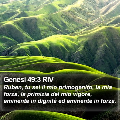 Genesi 49:3 RIV Bible Verse Image