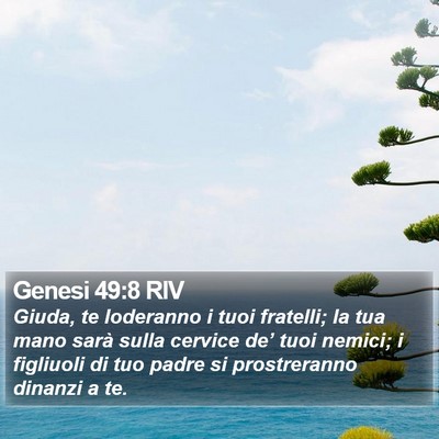 Genesi 49:8 RIV Bible Verse Image