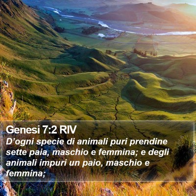 Genesi 7:2 RIV Bible Verse Image