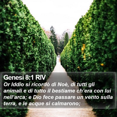 Genesi 8:1 RIV Bible Verse Image