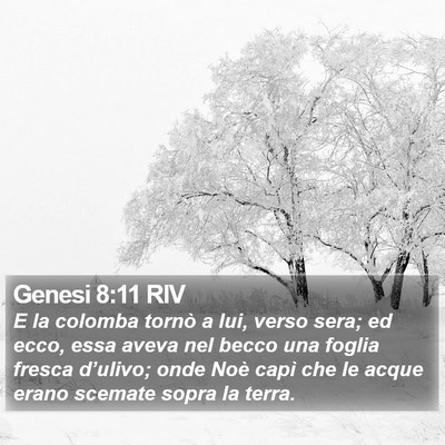 Genesi 8:11 RIV Bible Verse Image