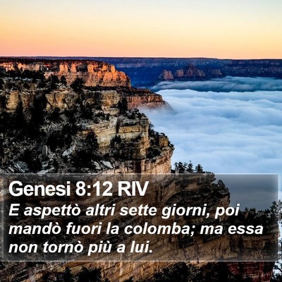 Genesi 8:12 RIV Bible Verse Image