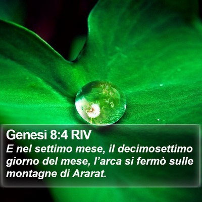 Genesi 8:4 RIV Bible Verse Image