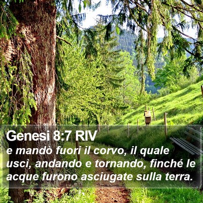 Genesi 8:7 RIV Bible Verse Image