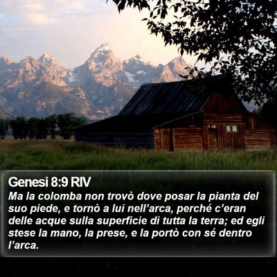 Genesi 8:9 RIV Bible Verse Image