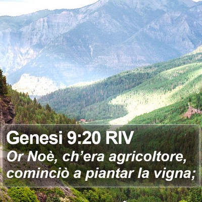 Genesi 9:20 RIV Bible Verse Image