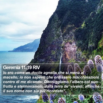 Geremia 11:19 RIV Bible Verse Image