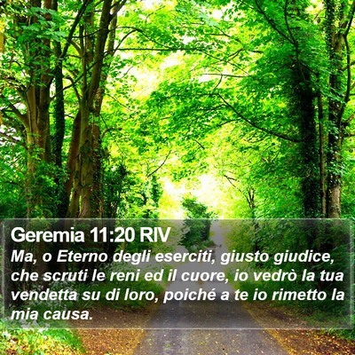 Geremia 11:20 RIV Bible Verse Image