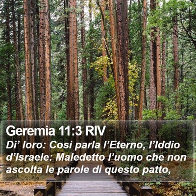 Geremia 11:3 RIV Bible Verse Image