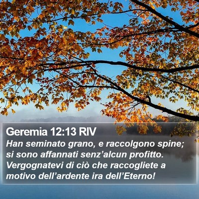 Geremia 12:13 RIV Bible Verse Image