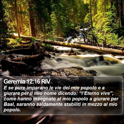 Geremia 12:16 RIV Bible Verse Image