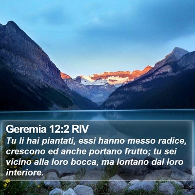 Geremia 12:2 RIV Bible Verse Image