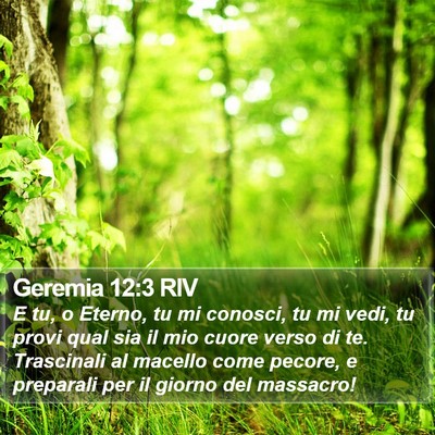 Geremia 12:3 RIV Bible Verse Image