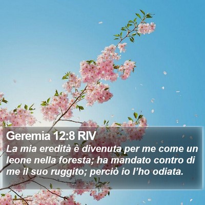 Geremia 12:8 RIV Bible Verse Image