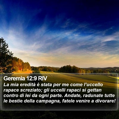 Geremia 12:9 RIV Bible Verse Image