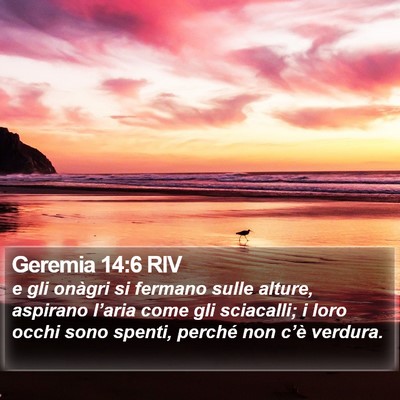Geremia 14:6 RIV Bible Verse Image