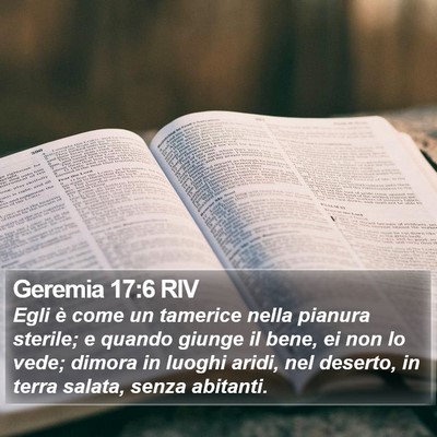 Geremia 17:6 RIV Bible Verse Image