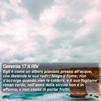 Geremia 17:8 RIV Bible Verse Image